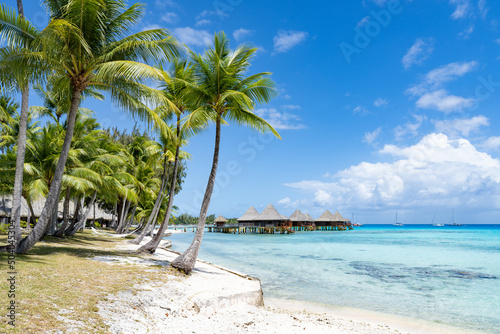 Fototapeta Naklejka Na Ścianę i Meble -  Summer vacation at the beach on a tropical island in the South Seas, French Polynesia