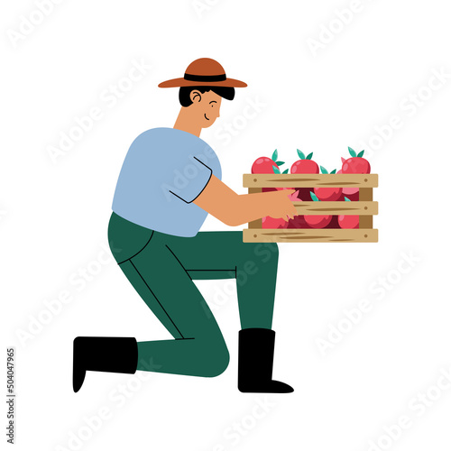 farmer man with tomatoes