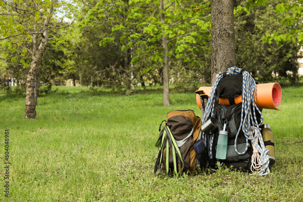 Backpacks with hiking equipment near tree on green grass. Space for text Backpacks with hiking equipment near tree on green grass. Space for text