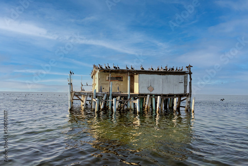 Stilt House on Gulf of Mexico Ocean Coast in Florida