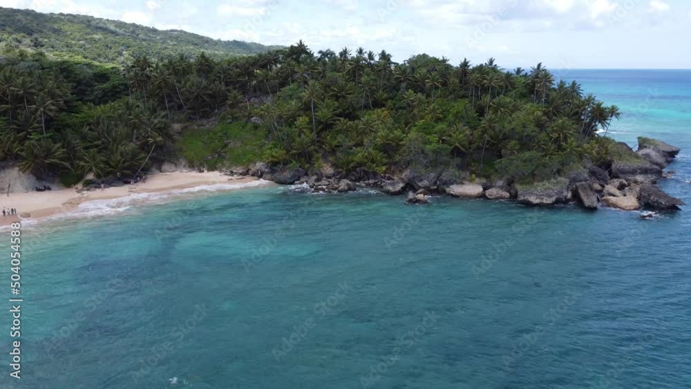 hermosa costa rocosa llena de arboles verdes y palmas tropicales