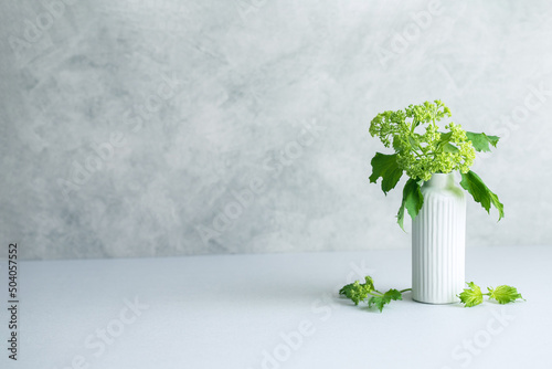 植物　花　ビバーナム　花瓶　背景素材　コピースペース　コンクリート壁