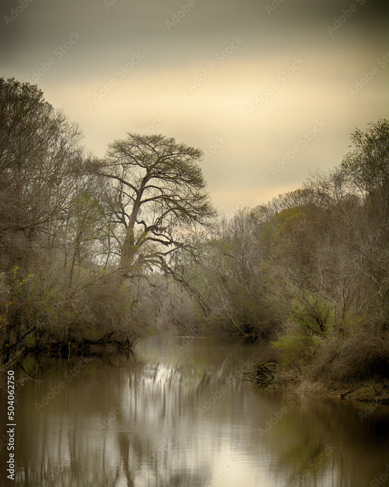 an oxbow lake on the Oconee River an oxbow lake on the Oconee River