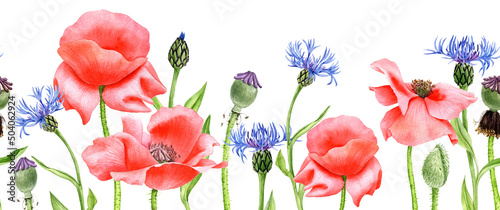 watercolor drawing red poppy flowers and blue cornflowers, floral seamless border background, hand drawn illustration