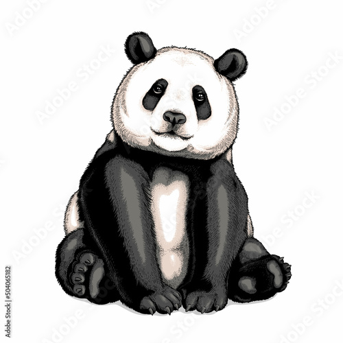 pandaCute big panda portrait. Vector illustration. Stylish image for printing on any surface photo