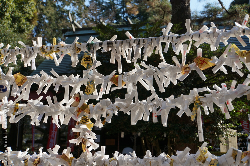 Fototapeta premium おみくじ掛け