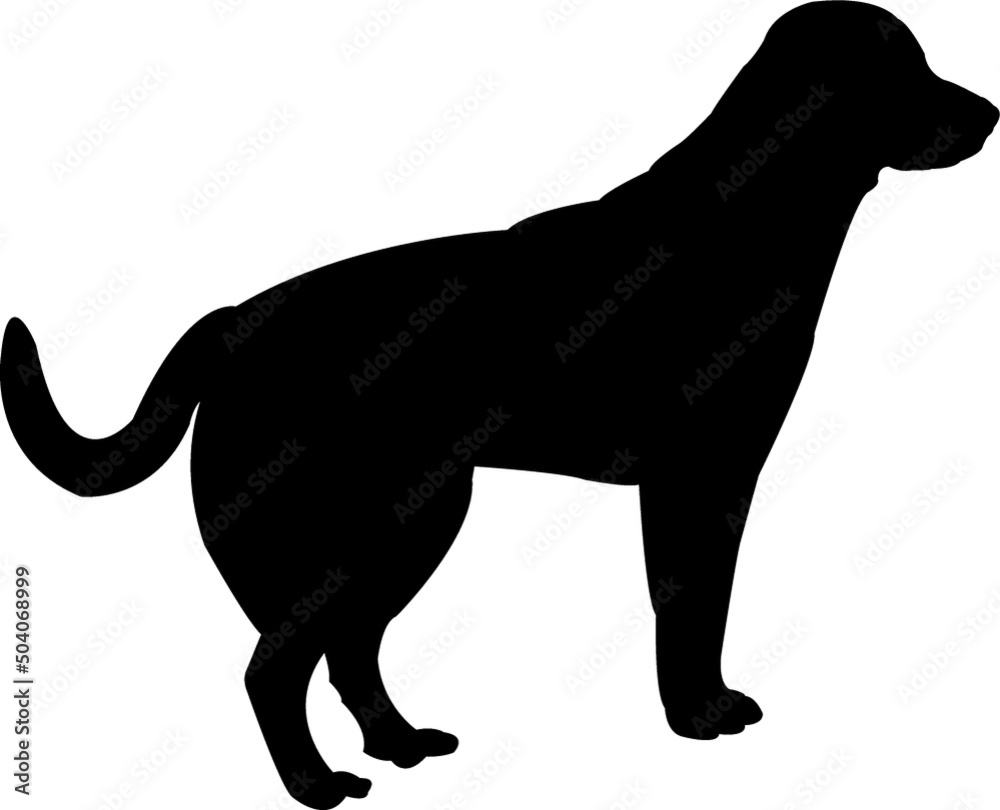 Dog Vector Silhouette