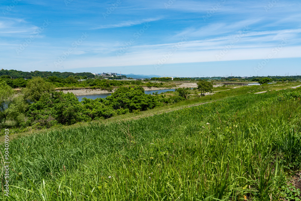 神奈川県を流れる相模川の風景