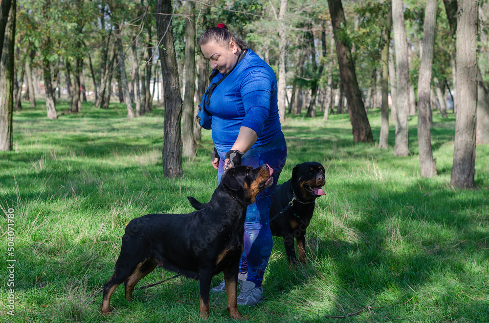 A woman in a blue sports uniform and two black dogs standing on green grass. Handler and adult female Rottweiler.