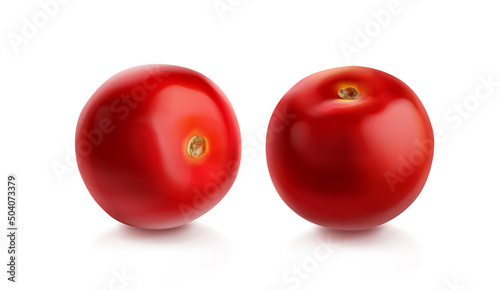 Tomato cherry, two red tomatoes different view, realistic vector illustration isolated on white background. Ripe pomodoro, raw organic vegetable