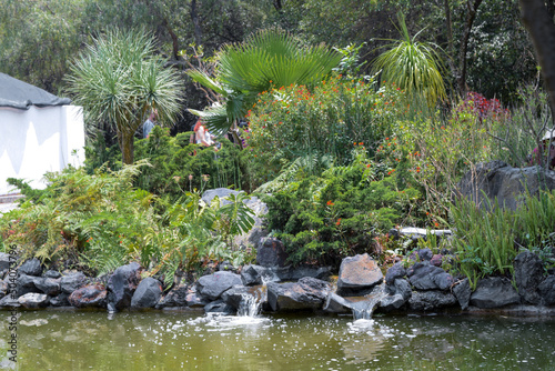 Paisaje con vegetación, rocas y agua