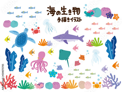 海の生き物 セットイラスト
