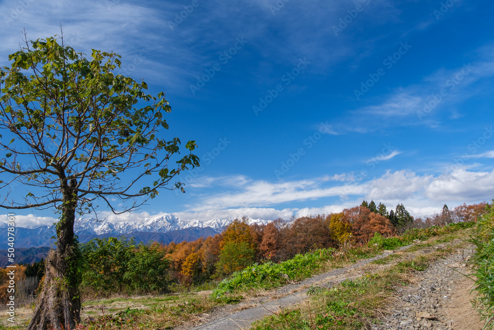 Obraz premium 雪山と道