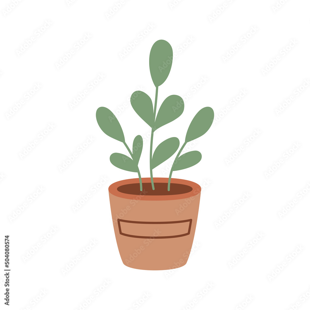 Fototapeta premium houseplant in pot