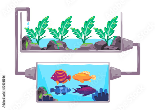 Aquaponics system in smart farming method flow of water and nutritions using fish in diagram process