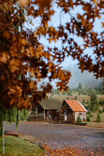 Cabin in the Oregon Woods © Stephanie