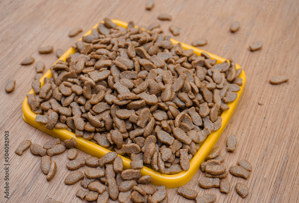 Dry cat food in a bowl Dry cat food in a bowl