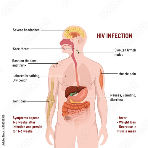 Signs and symptoms of HIV infection. Human silhouette with internal organs