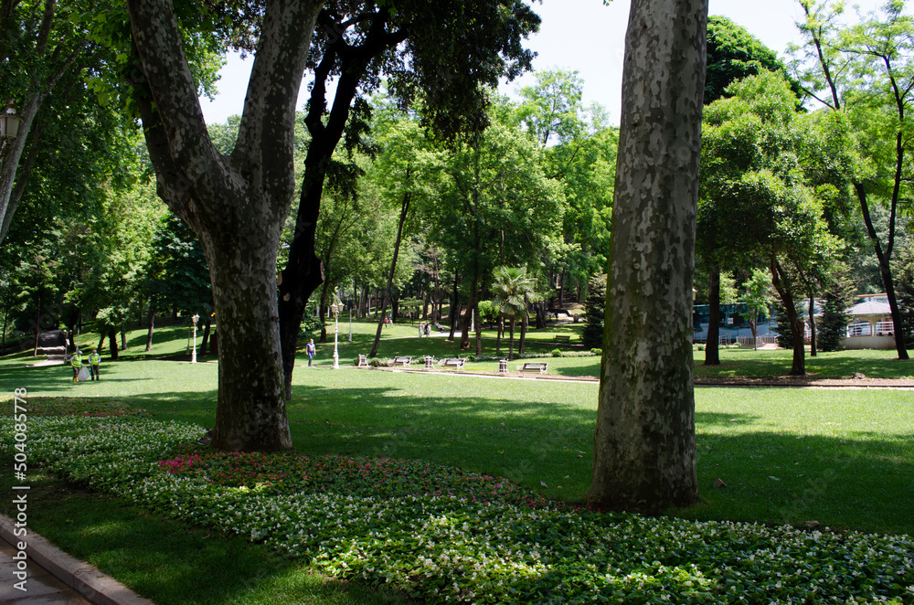 View of historical urban Gulhane Park in the Eminonu district of Istanbul. Turkey. View of historical urban Gulhane Park in the Eminonu district of Istanbul. Turkey.