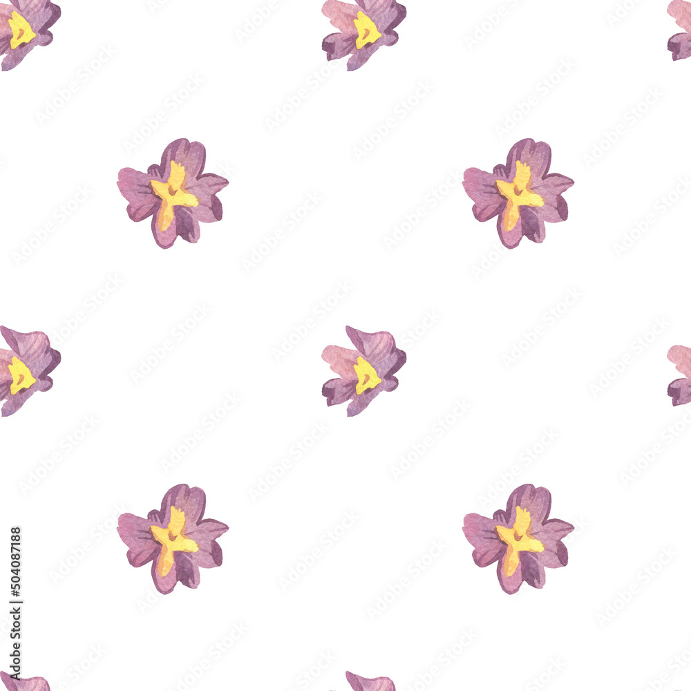Watercolor seamless pattern with pink and purple primrose.Festive,Botanical,Floral hand painted print.Designs for wrapping paper, packaging, cards,notepad covers,textiles,fabric,scrapbooking paper.
