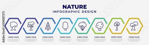 vector infographic design template with icons and 8 options or steps. infographic for nature concept. included butternut tree, slippery elm tree, american larch tree, sassafras shadbush sycamore pin