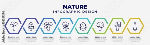 vector infographic design template with icons and 8 options or steps. infographic for nature concept. included eastern cottonwood tree, balsam fir tree, pignut hickory tree, black locust eastern