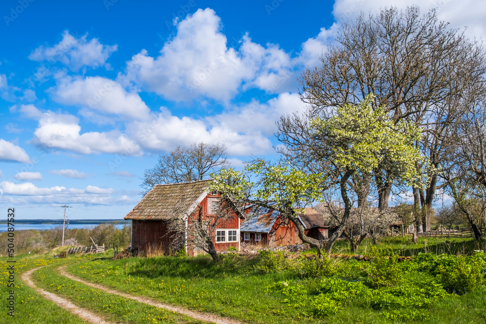 Obraz premium Farm in a rural landscape view