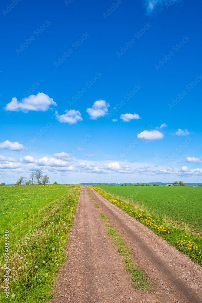 Gravel road at the fields to the horizon Gravel road at the fields to the horizon