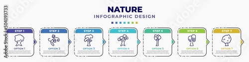 infographic template with icons and 7 options or steps. infographic for nature concept. included butternut tree, cucumber tree tree, slippery elm eastern white pine american elm black willow