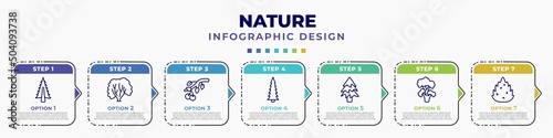 infographic template with icons and 7 options or steps. infographic for nature concept. included american larch tree, american hornbeam tree, black cherry tree, red spruce balsam fir black locust