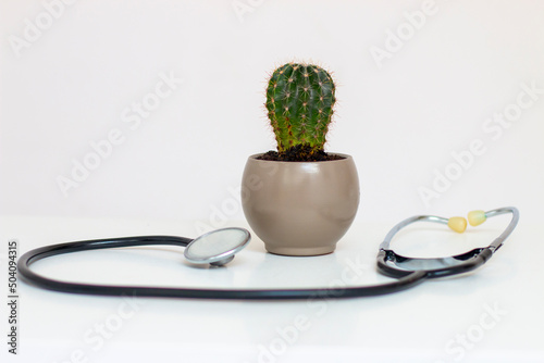Stethoscope lies on white isolated background with cactus in the middle. Medical concept of hemorrhoids, anal pains photo