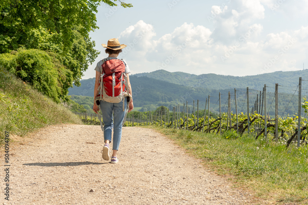 Hiking Woman with brown hair, gray t-shirt, jeans, straw hat and red backpack hiking next to a wine field, rear view, hiking trail at Auerbach, Bensheim, Germany