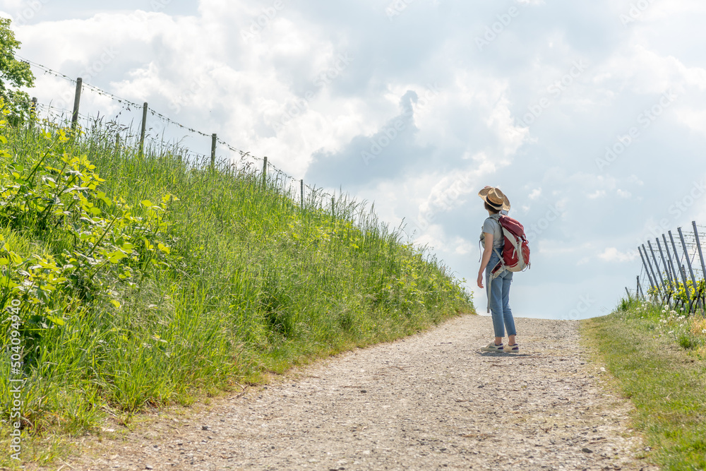 Hiking Woman with brown hair, gray t-shirt, jeans, straw hat and red backpack standing next to a wine field on a hiking trail, looking at birds in the sky, Auerbach, Bensheim, Germany