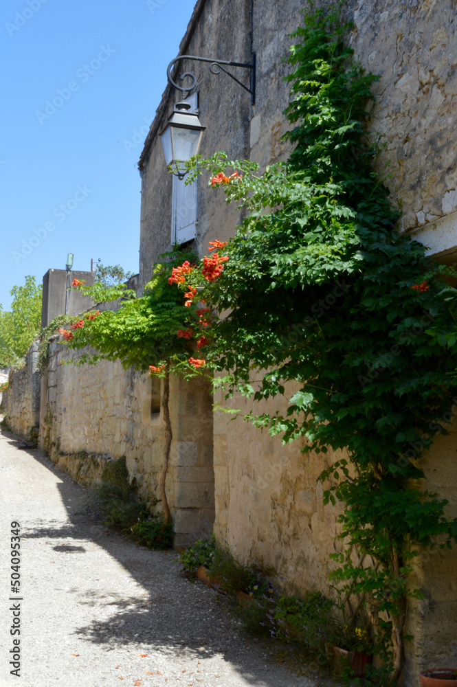 Fototapeta premium Charmante petites rue fleurie et des maisons en pierre, à Saint Emilion en Gironde