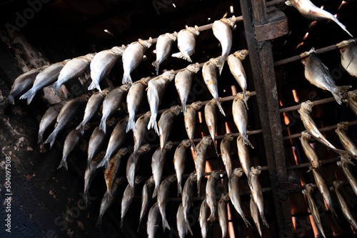 Old traditional Dutch smokehouse in fisherman's village in Horth Holland - rows of smoked herrings fish hanging on skewers under tiled roof photo