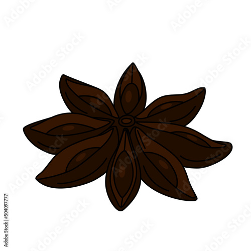 Vector illustration of a hand drawn star anise isolated on a white background.