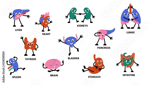 Human body organs characters. Cartoon cute anatomy mascot persons with hands legs and happy faces. Vector kidney stomach lungs character set