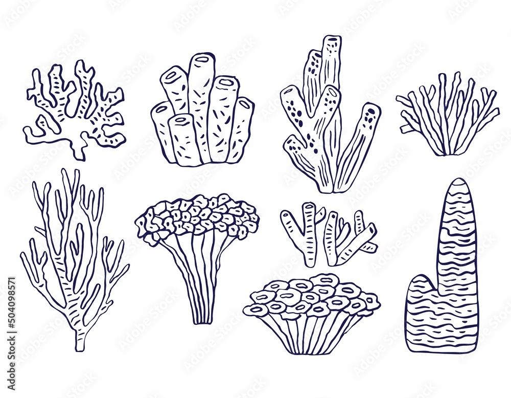 Set of decorative sea corals is isolated on white in a doodle style. A collection of aquatic oceanic plants for the decoration of postcards, posters, invitations to sea parties. Vector illustration