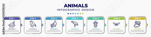infographic template with icons and 7 options or steps. infographic for animals concept. included litter box, robin, litter, condor, louse, trap, pond editable vector.