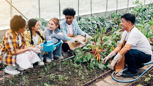 A garden specialist is teaching a group of students in a vegetable plot.