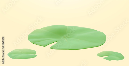 Green lotus leaves