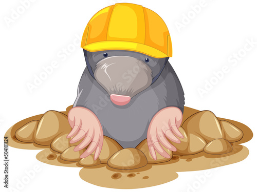 A little mole on white background