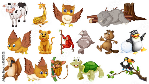 Many wild animals on white background
