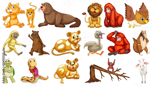 Many wild animals on white background