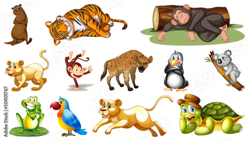 Different wild animals on white background