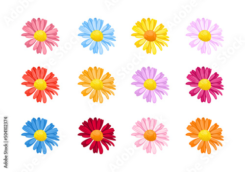 Set of daisies flowers of different colors isolated on white background. Vector illustration in cartoon flat style. Collection of floral design elements.