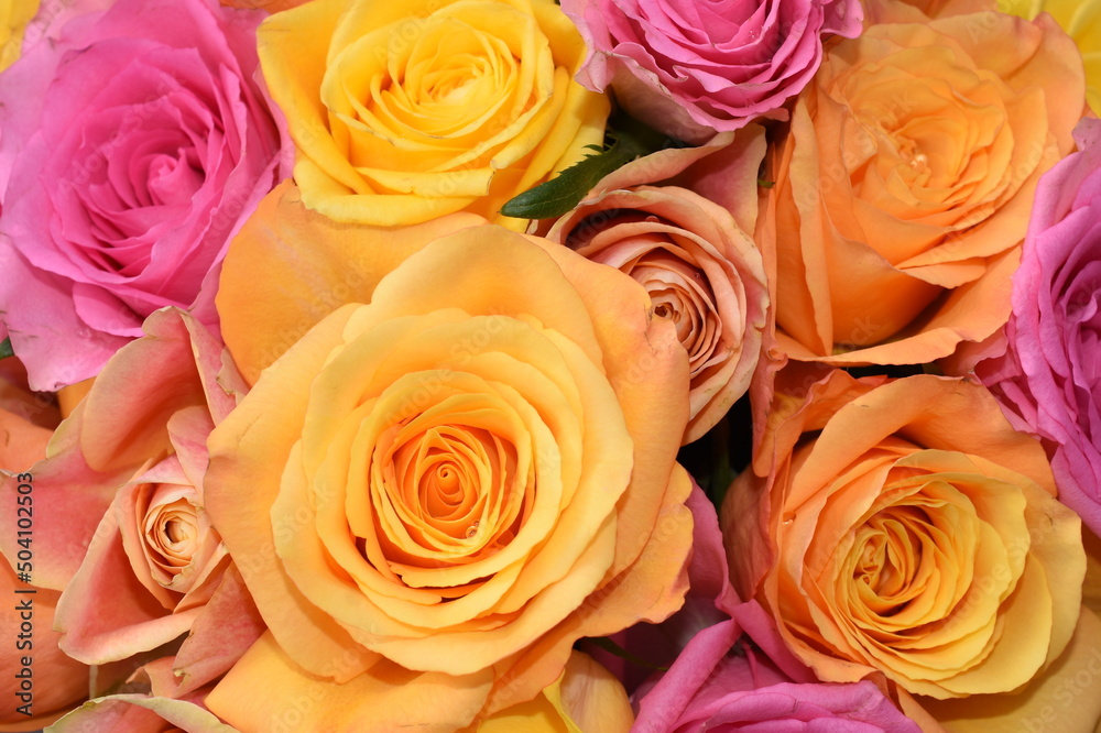 Close-up on bouquet of roses in yellow orange and pink colors