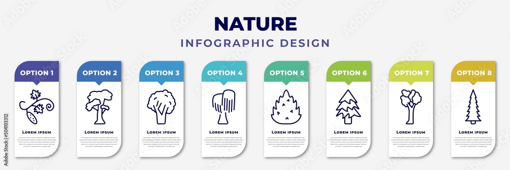 infographic template with icons and 8 options or steps. infographic for nature concept. included cucumber tree tree, slippery elm tree, black walnut black willow eastern redcedar balsam fir american - obrazy, fototapety, plakaty 