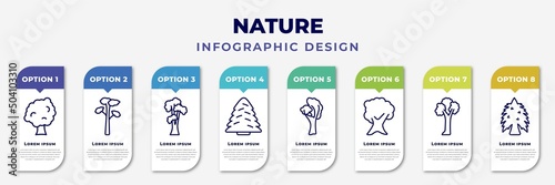 infographic template with icons and 8 options or steps. infographic for nature concept. included sycamore tree, pitch pine tree, shagbark hickory tree, white spruce yellow birch butternut pin cherry photo