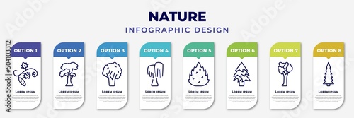 infographic template with icons and 8 options or steps. infographic for nature concept. included cucumber tree tree, slippery elm tree, black walnut black willow eastern redcedar balsam fir american